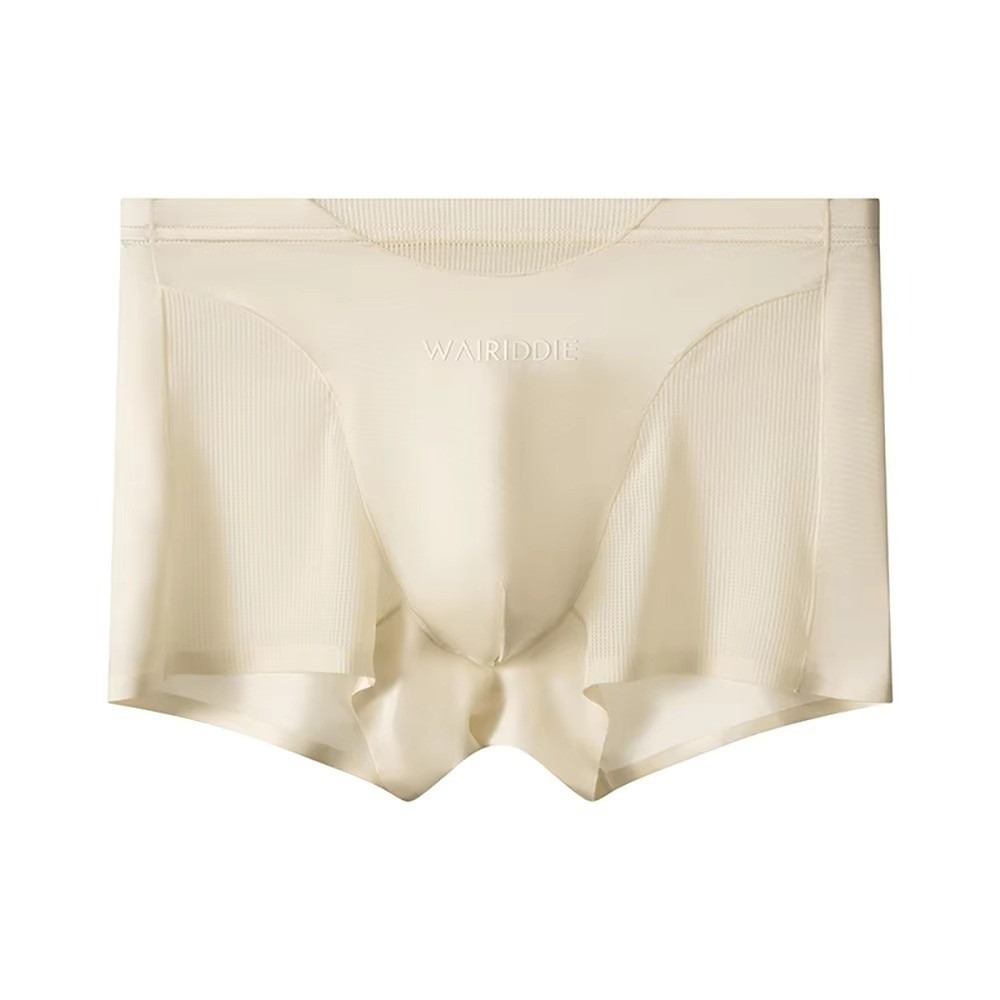 Mesh Sport Boxer - Simple Mesh Ice Silk Underwear Seamless