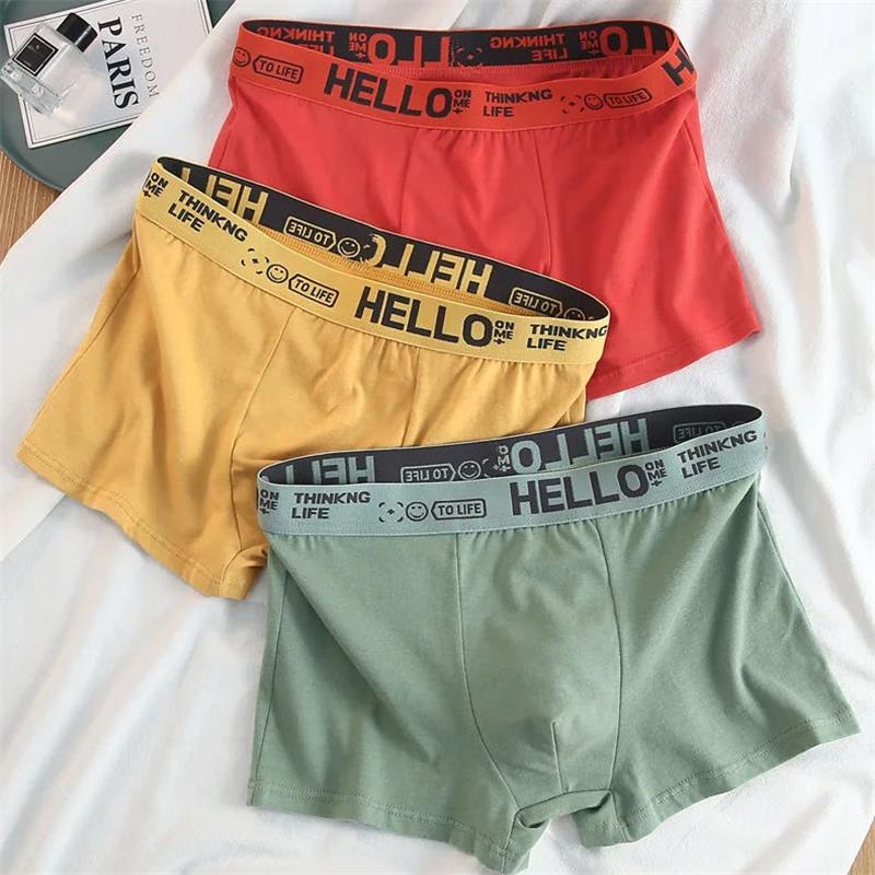 10Pieces/ Men's Underwear Men  - огляд і ціна Boxer Shorts Modal