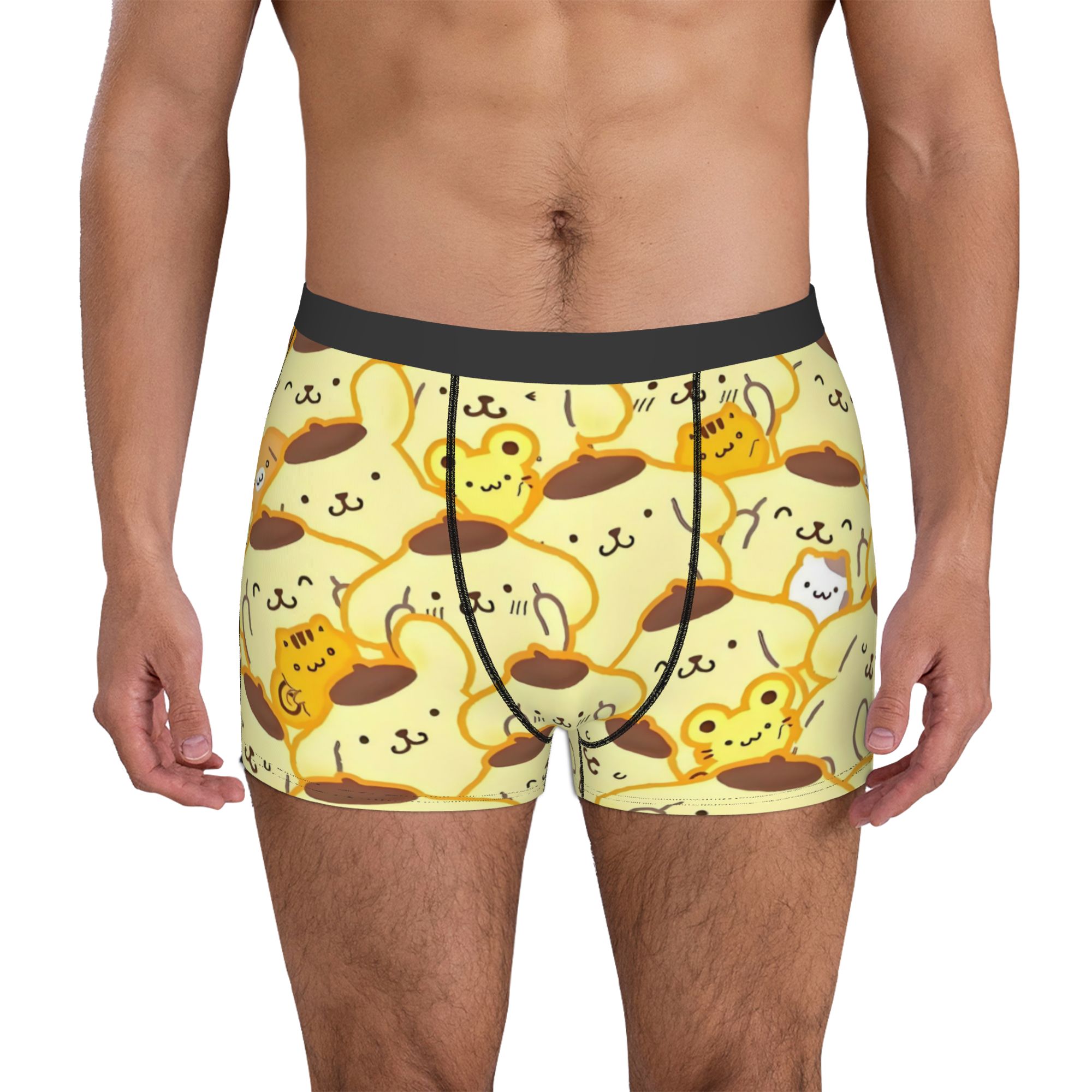 Cartoon Pompompurin Underwear  - огляд і ціна Boxer Shorts Modal